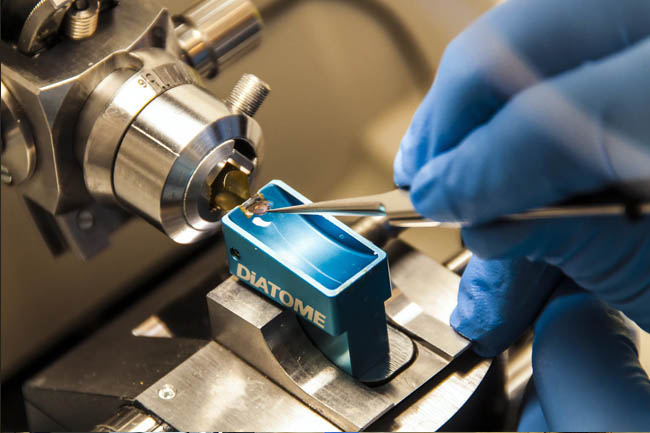 Centrifuge manufacturing